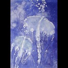 Jellyfish Pictures - Jelly Fish IV
