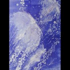 Jellyfish Picutures - Jelly Fish II